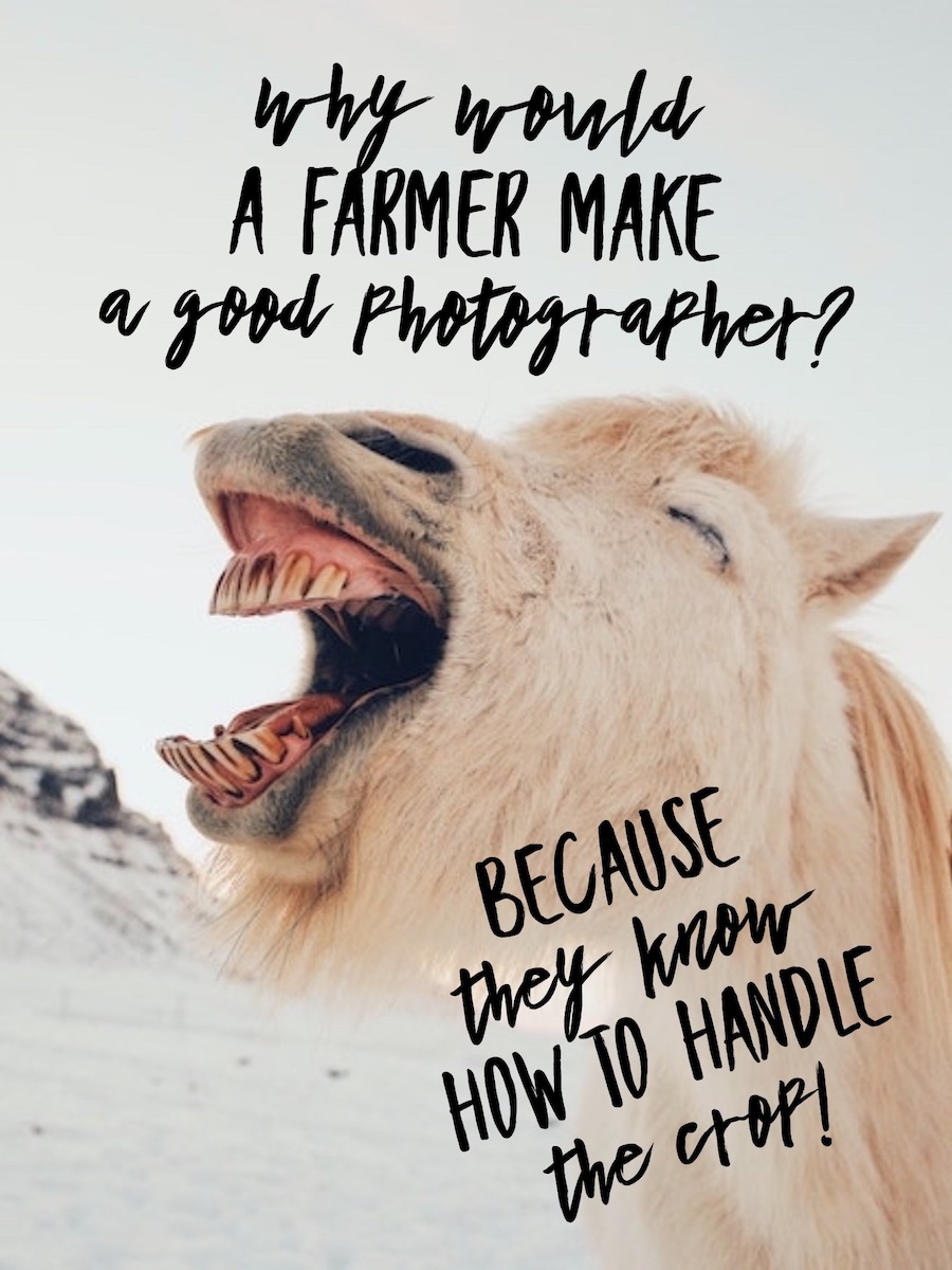 58 Funny Photography Quotes to Brighten Your Day