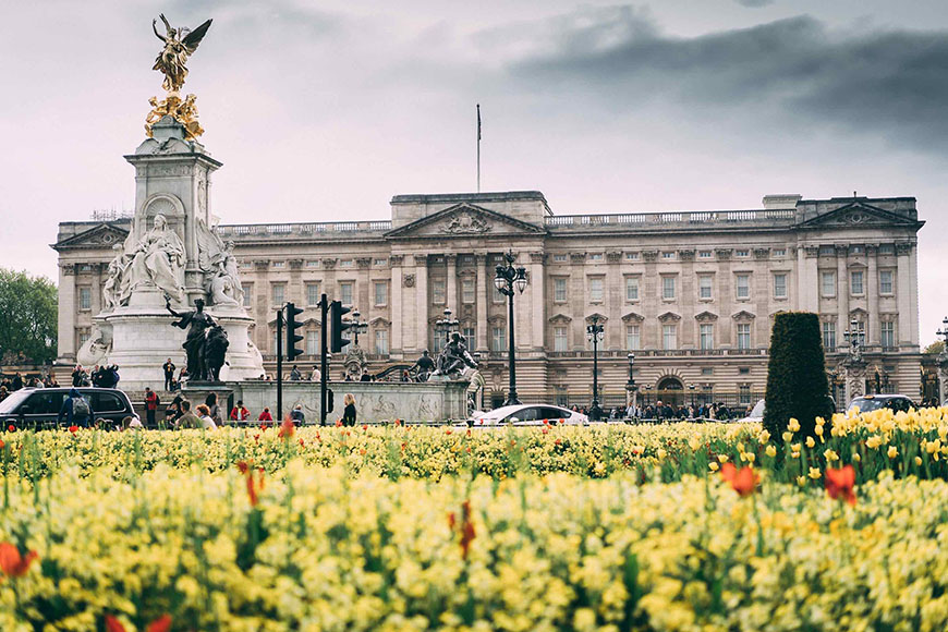 Buckingham palace with yellow flowers