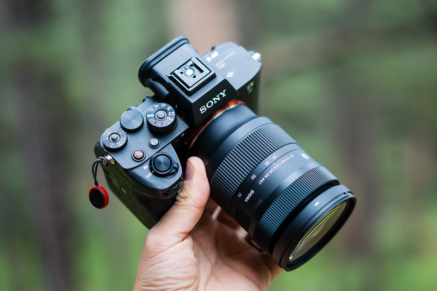 Sigma 28-70mm f/2.8 DG DN Review for Sony E-Mount Cameras