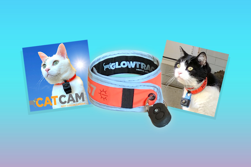 GlowTrack CatCam