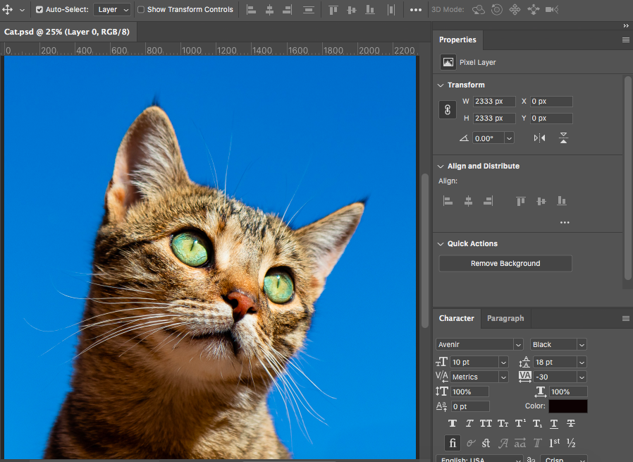 How to Remove Background in Photoshop (4 Foolproof Ways)