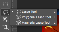 lasso tool icon