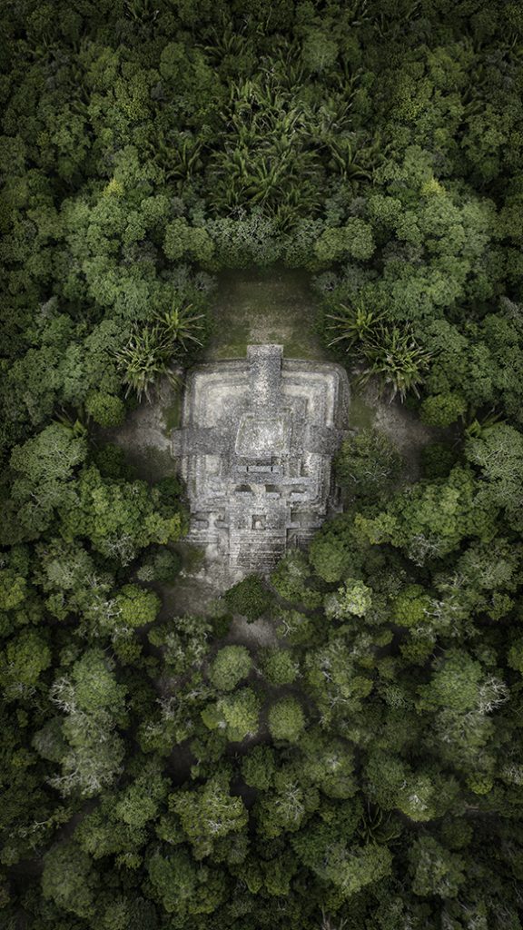 an aerial view of a building in the middle of a forest.