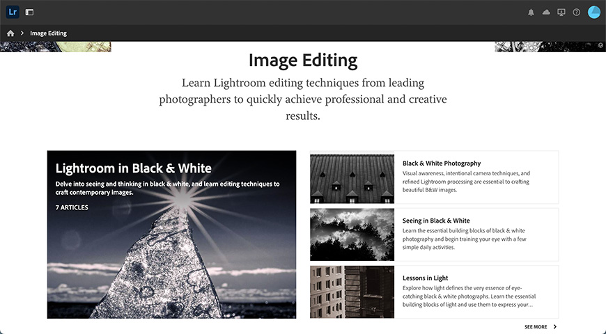 A screenshot of the Image Editing section of Lightroom Academy 