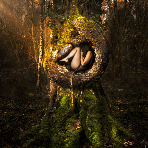 a woman laying in a tree in a forest.