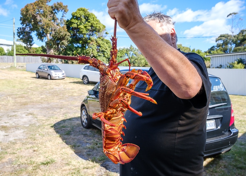 a man holding up a lobster in front of a car.