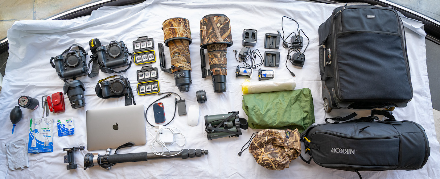 a variety of items are laid out on a sheet.