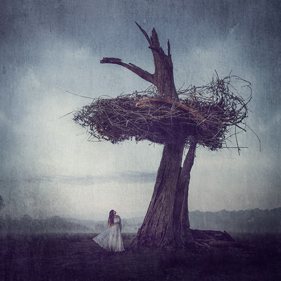 a woman standing in front of a tree with a bird's nest on it.