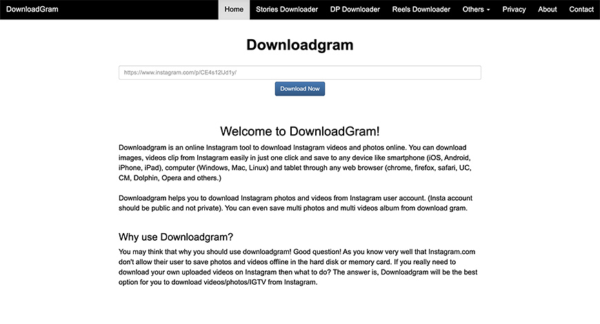 Screenshot of Downloadgram website