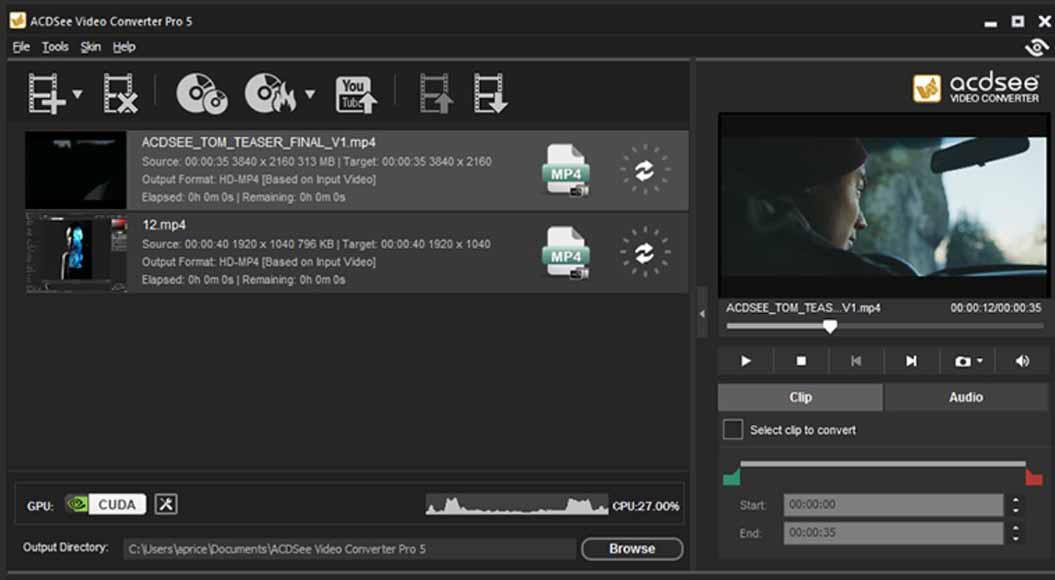 a screen shot of the ACDSee Video Converter