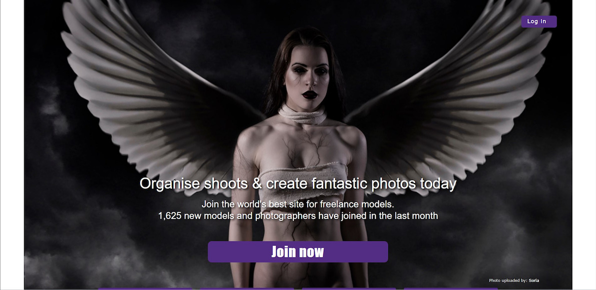 an image of a woman with wings on PurplePort homepage