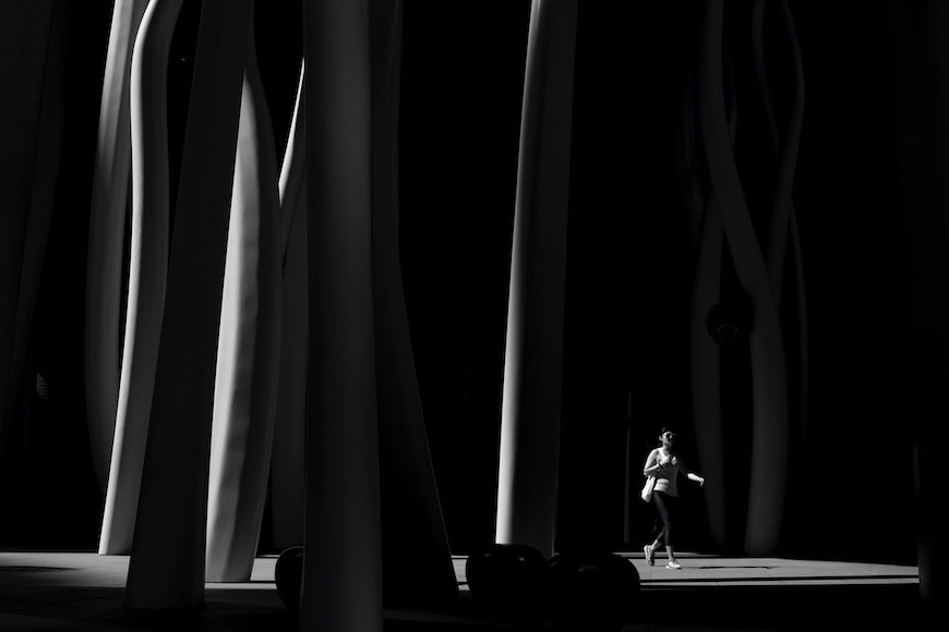 a person walking through a forest of tall trees.