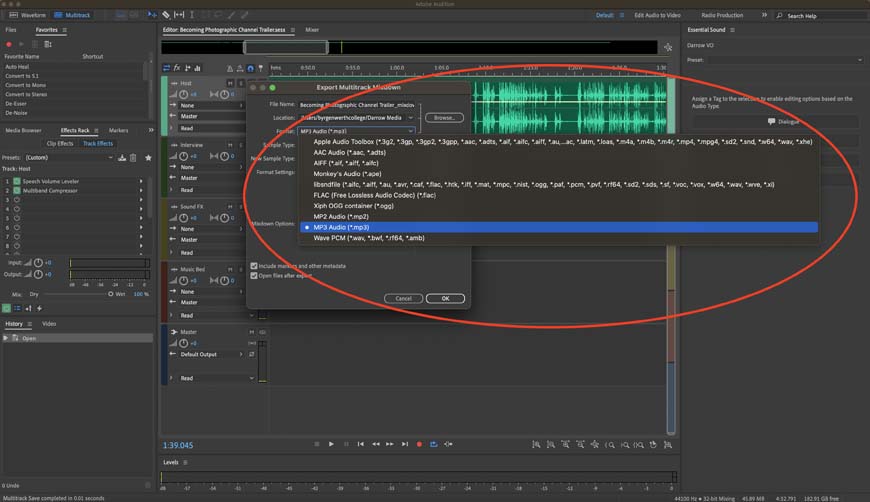 a screenshot of a sound editor with a red circle in the middle of the screen highlighting file type options.