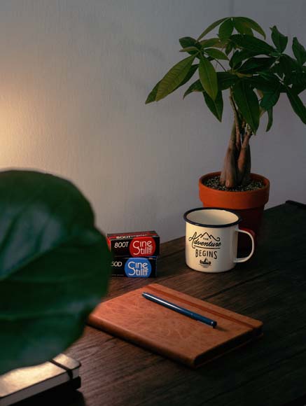 a desk with a potted plant, coffee mug, 35mm film, and a book on it.