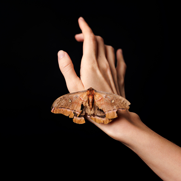a moth resting on a woman's hand.