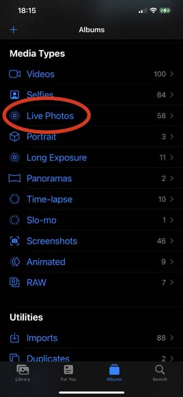 screenshot of iphone Photos app highlighting the Live Photos album