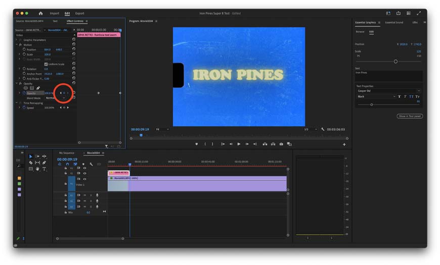 A screenshot of Adobe Premiere Pro highlighting the add/remove keyframe button