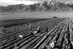 a black and white photo of people working in a field.