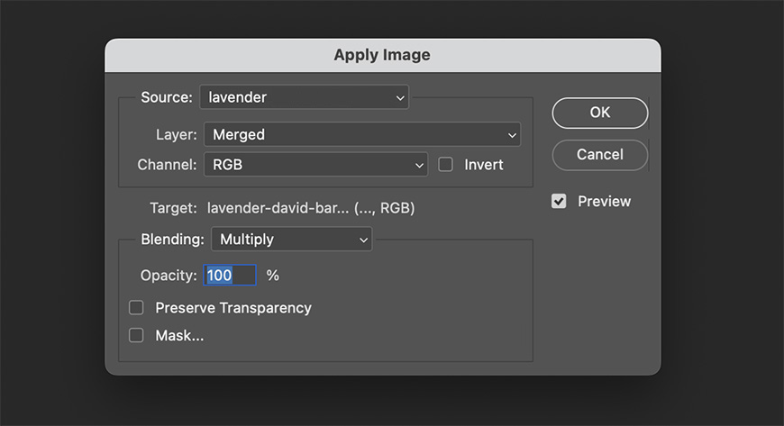 Photoshop Apply Image dialog box