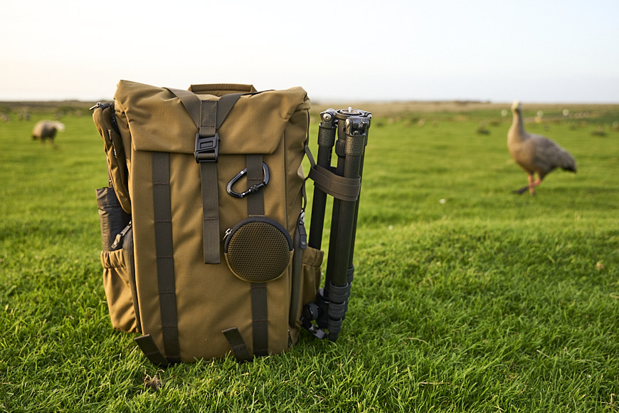 a brown backpack sits on a grassy field next to a flock of geese.