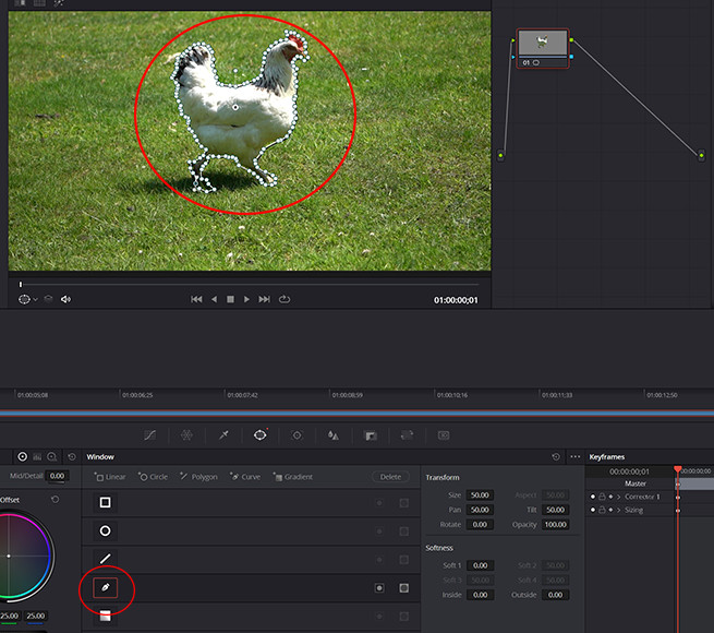 A screenshot of a chicken in DaVinci Resolve with a mask 