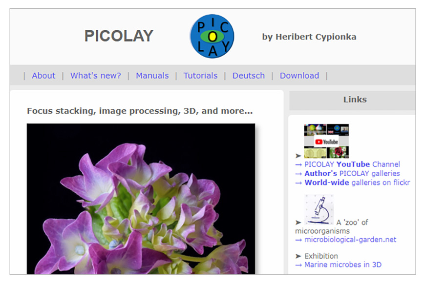 a screenshot of Picolay web page with a purple flower on it.