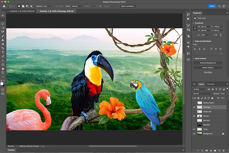 a photo of flamingos and birds in adobe photoshop.