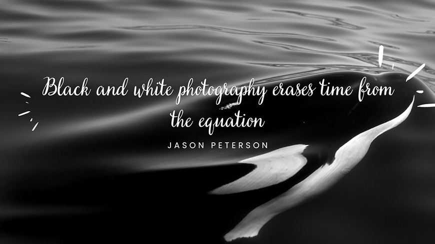 93 Captions & Quotes About Black and White Photography