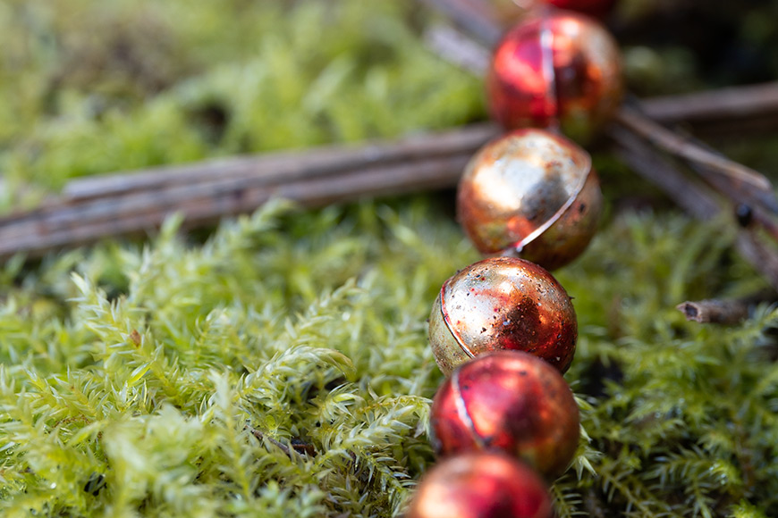 Beads on moss.