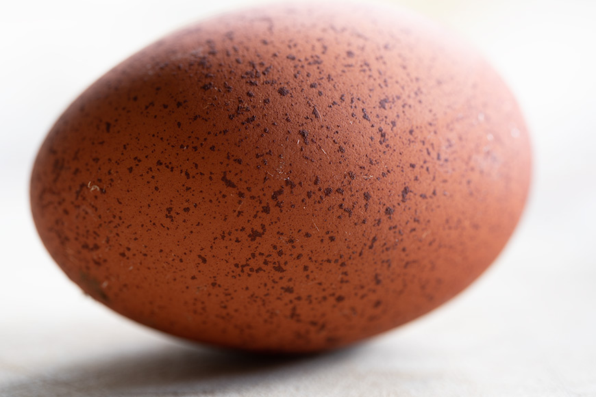 A brown egg on a wooden surface.