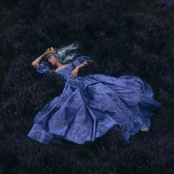 A woman in a blue dress is laying in a field of lavender.