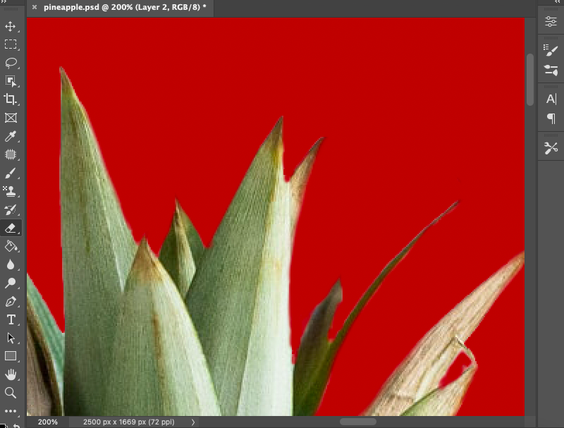 smooth rough edges photoshop plant on a red background.