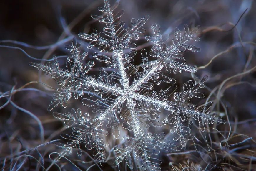 An image of a snowflake in the grass.