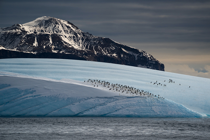 A group of penguins on an iceberg with mountains in the background.