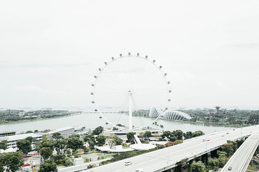 A large ferris wheel in the middle of a city.