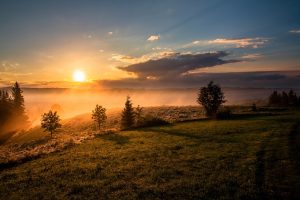 The sun rises over a grassy field with a misty sky.