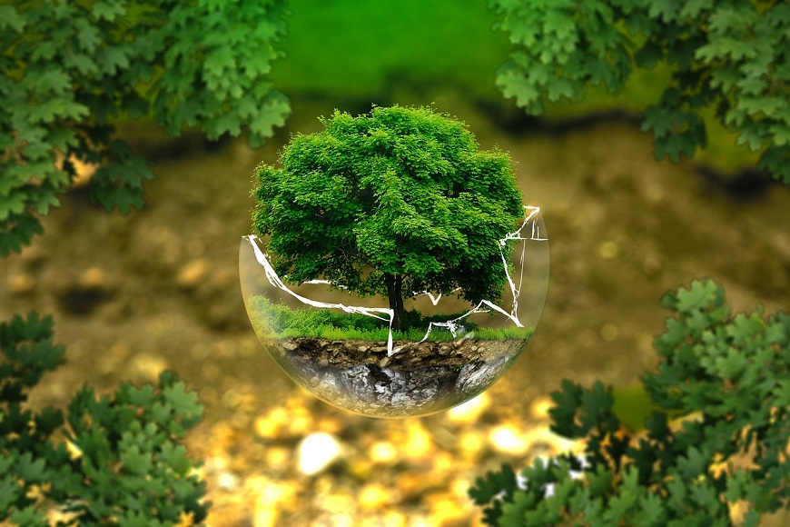An image of a tree in a glass ball.