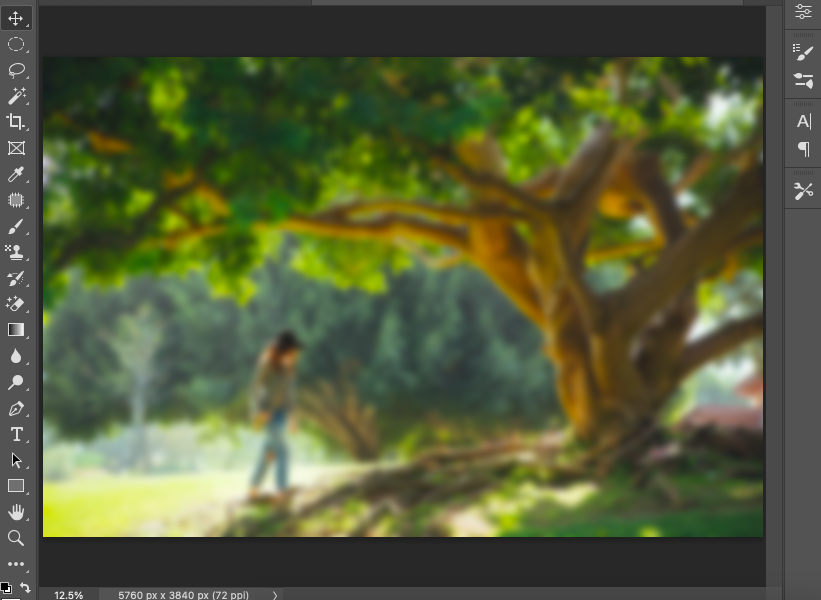 A person standing under a tree in adobe photoshop.