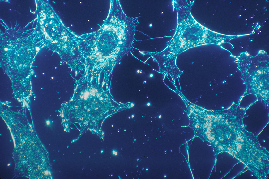 A close up of blue cells in a dark blue background.