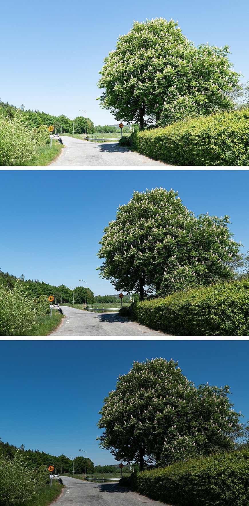 Four pictures of a tree on a road.