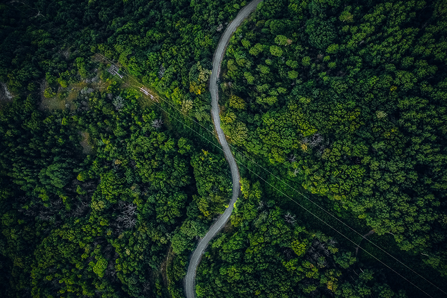 An aerial view of a winding road in the forest.