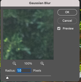 Gaussian blur in adobe photoshop.