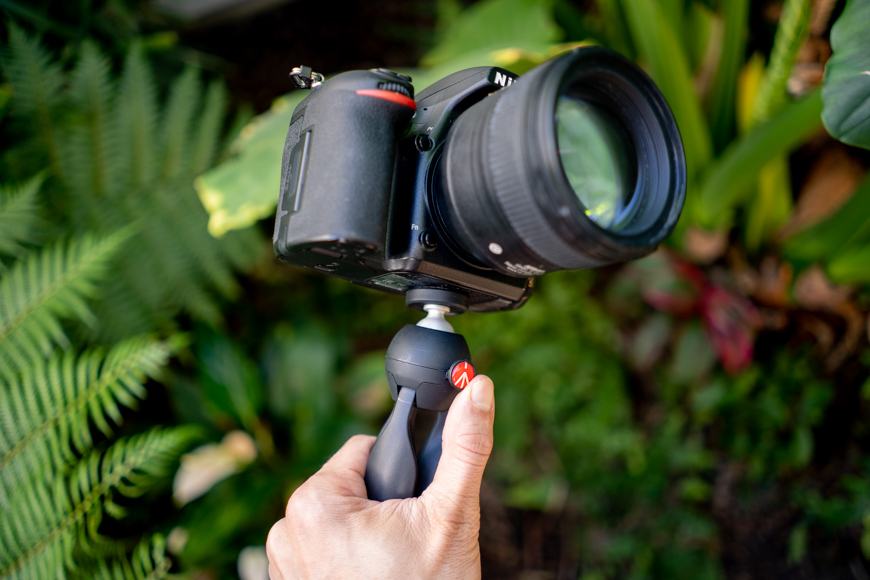 A person holding a dslr camera on a tripod.
