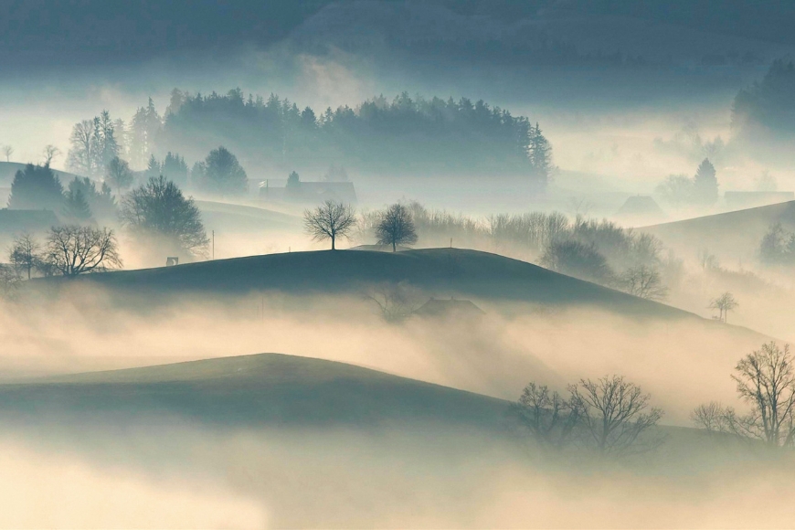 A foggy landscape with trees and hills.