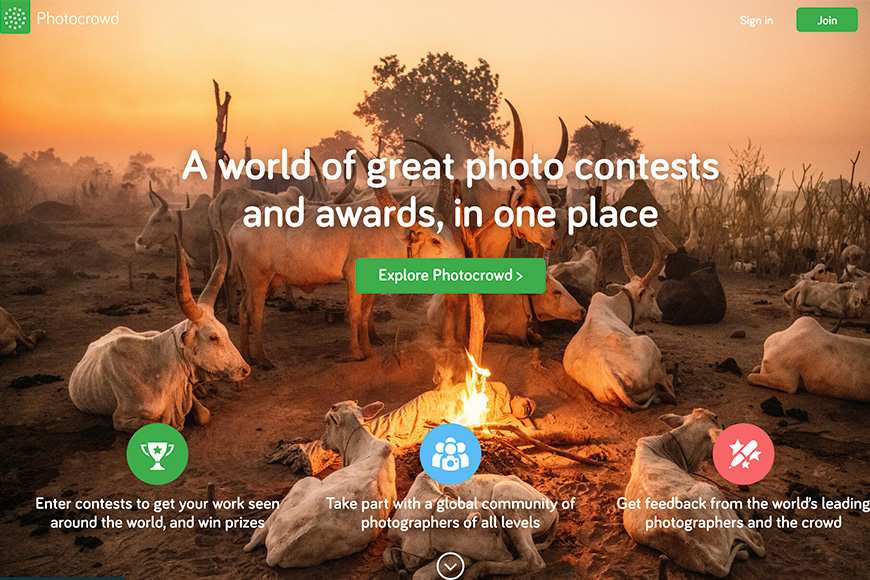 A website showing a world of green photo contests and awards in one place.