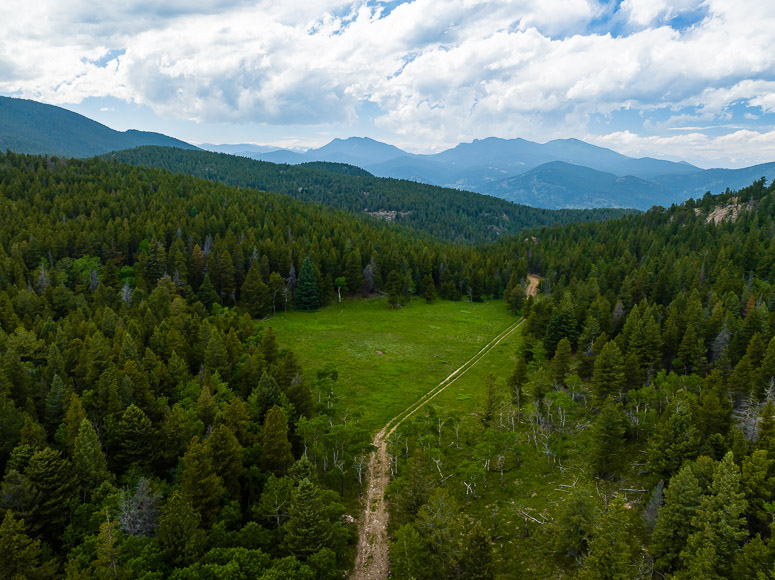 An aerial view of a dirt road in the middle of a forest.