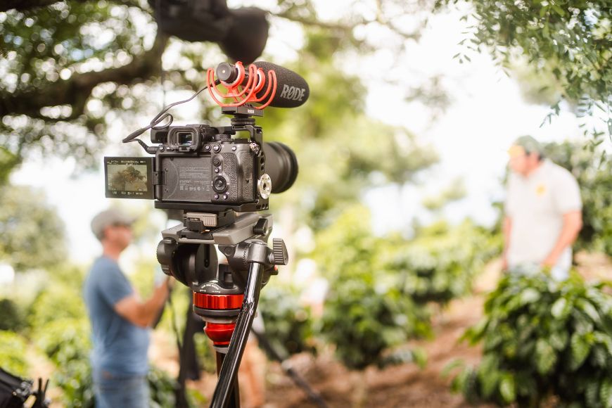 A group of people are filming a video in a coffee plantation.
