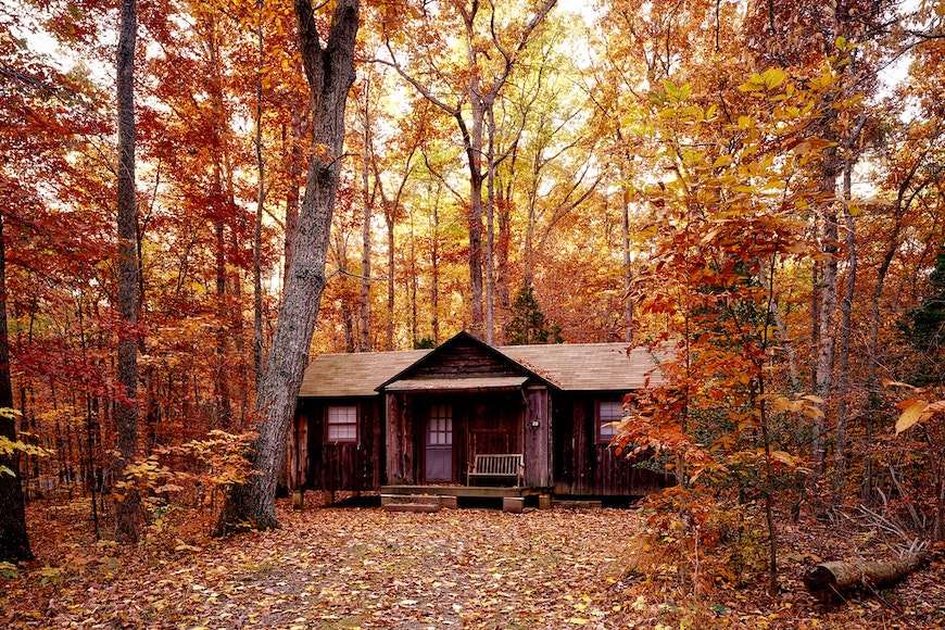 A cabin in the woods surrounded by fall leaves.