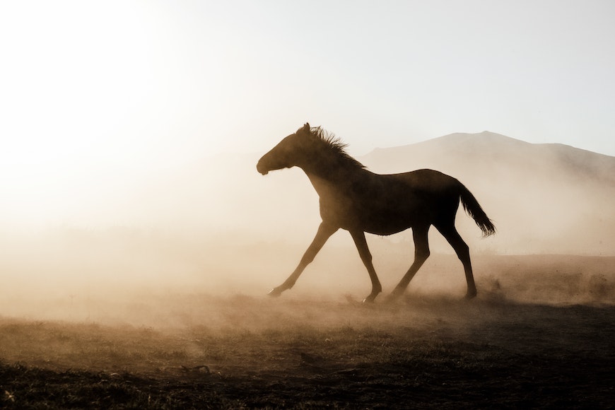 A horse is running in a dusty field with mountains in the background.