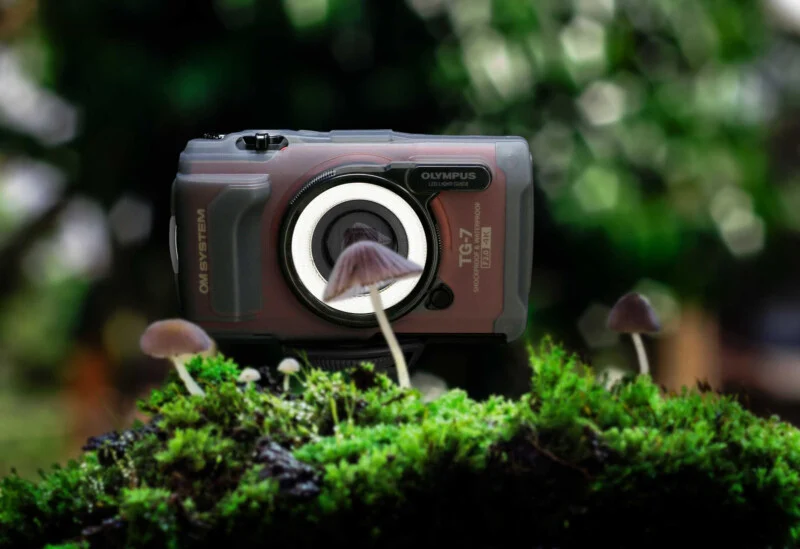 A camera sitting on top of some moss.